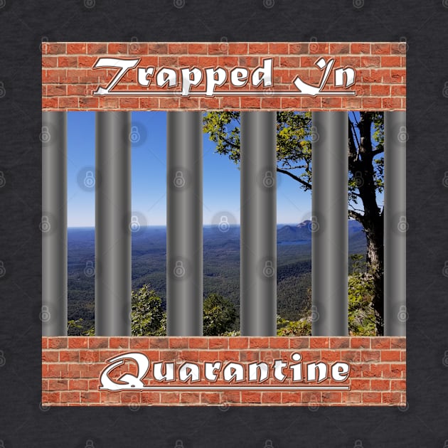 Trapped and Stuck in Quarantine Mountain View Version- Coronavirus Self Isolation - Cool Social Distance and Distancing - Locked Up Quarantined by CDC Gold Designs